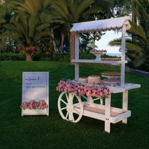 DIY Collapsible Event Cart